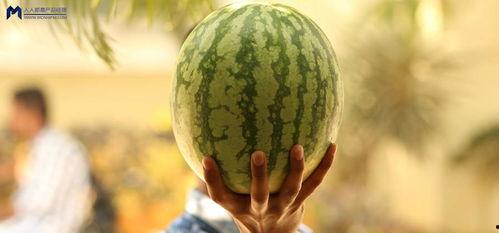 吃娱乐圈大瓜,揭秘明星背后的惊人真相